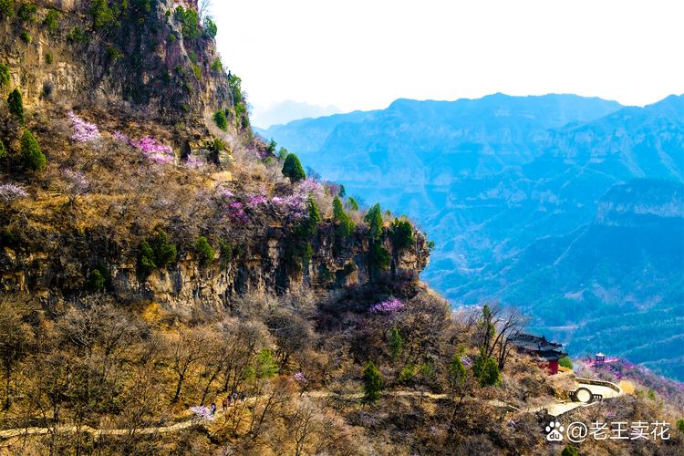 属马的人佩戴什么吊坠最好 09年属马的人适合佩