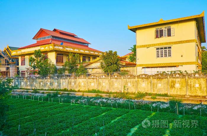 金马女和金羊男婚配吗，金羊命和金马命哪个好