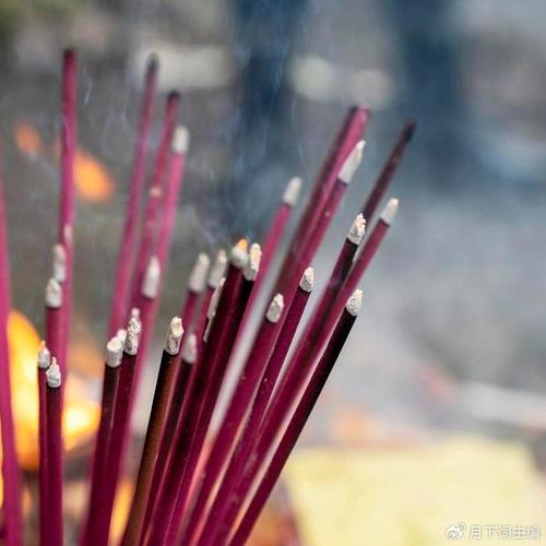 男虎女蛇相配婚姻会怎么样 女虎男蛇的婚姻怎 男虎女蛇相配婚姻会怎么样 女虎男蛇的婚姻怎