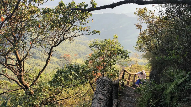 水瓶座首饰套装价格 水瓶座首饰套装价格及图片