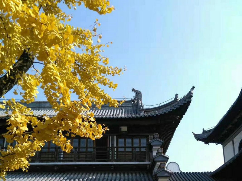 怎么和手相连在一起