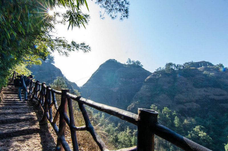 金牛的星座运势 金牛座的运势