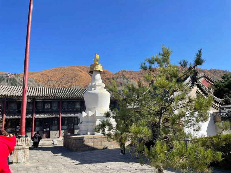 农历12月出生属虎人命好吗