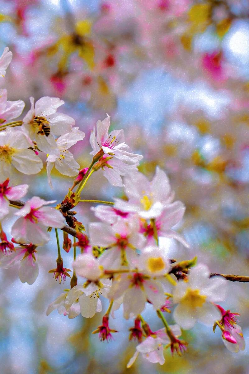 狮子座的缺点 狮子座最具代表性的缺点 狮子座的缺点 狮子座最具代表性的缺点