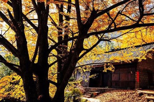 奇门是怎样看住宅风水