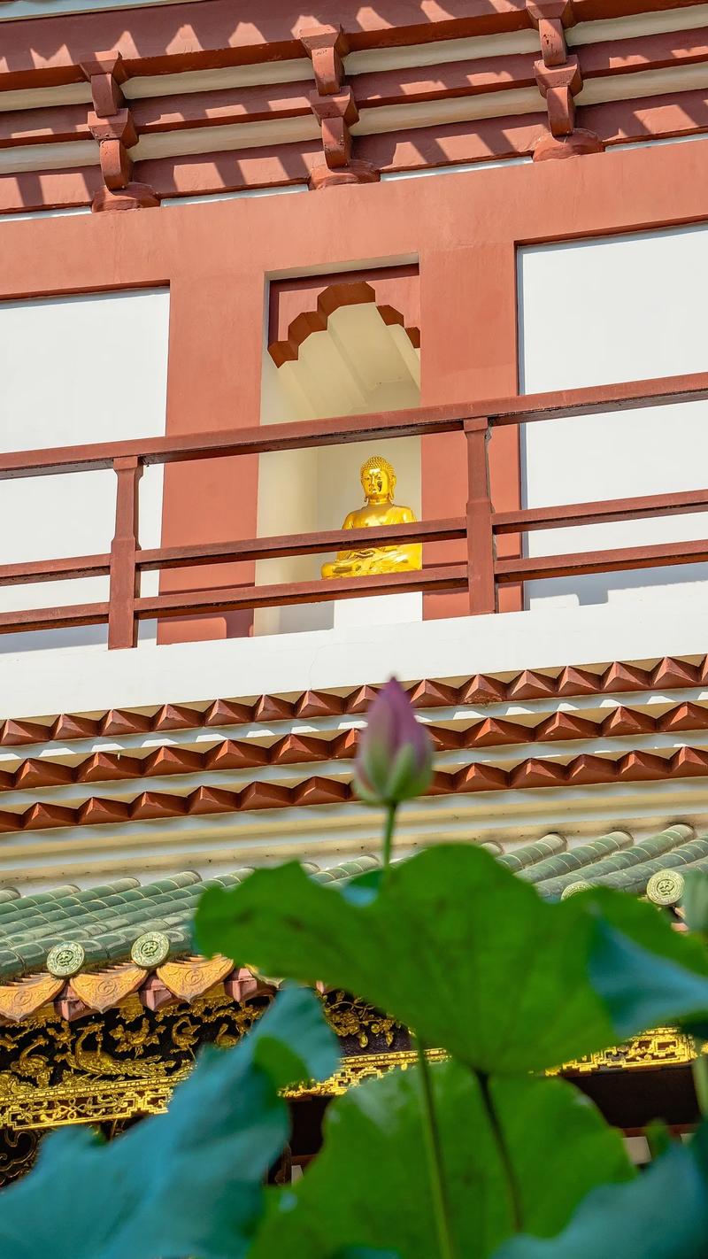 经商哪些星座最合适 什么星座适合自己开店 经商哪些星座最合适 什么星座适合自己开店