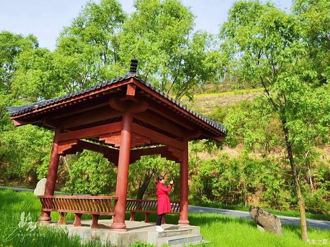 张傲月在拍电影或电视剧时的状态你认为如何呢 张傲月在拍电影或电视剧时的状态你认为如何呢