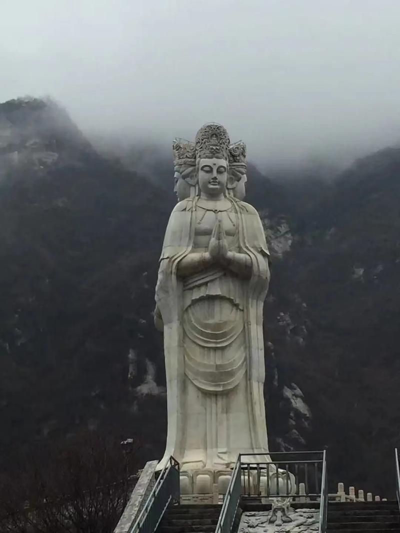 2025属猪人全年运势1971 2025年最倒霉的四大生肖 2025属猪人全年运势1971 2025年最倒霉的四大生肖