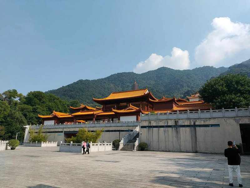 属鸡人生于几日好 属鸡人生于几日好