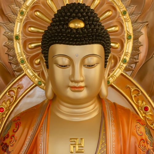 属狗人的性格解析 属狗人的性格解析