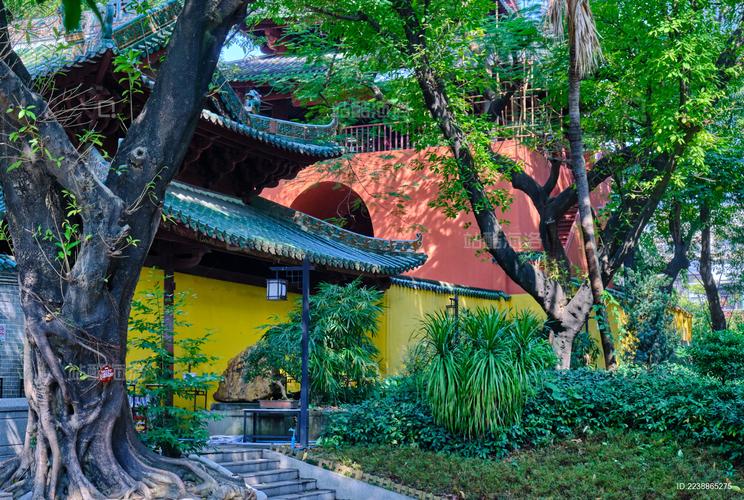 蔡卿卿同名同姓是否会影响命运与运势(蔡卿卿同名同姓会对命理运势产生怎样 蔡卿卿同名同姓是否会影响命运与运势(蔡卿卿同名同姓会对命理运势产生怎样