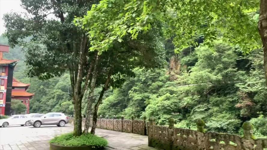 2025年属猴的运势和婚姻状况