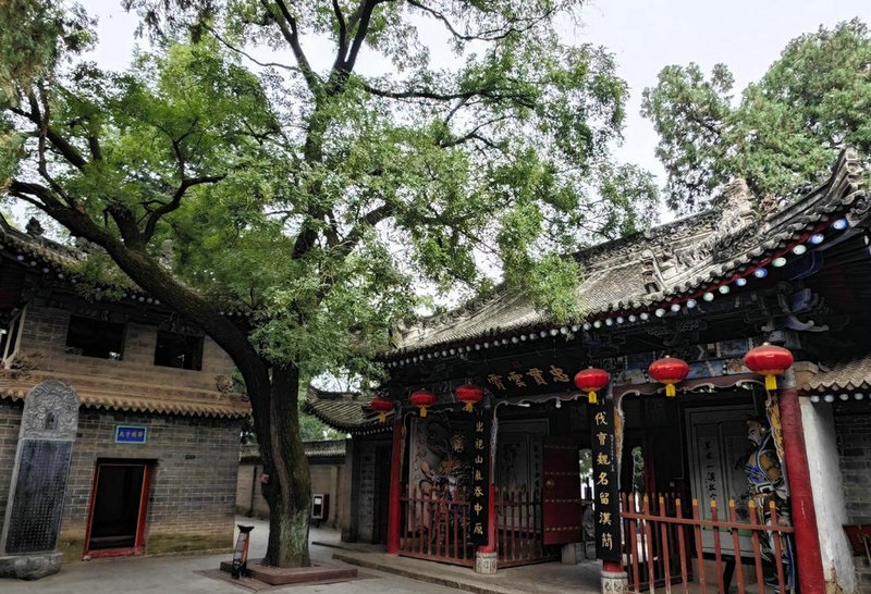 张馨予为什么这么美军嫂张馨予路人视角美翻 张馨予为什么这么美军嫂张馨予路人视角美翻