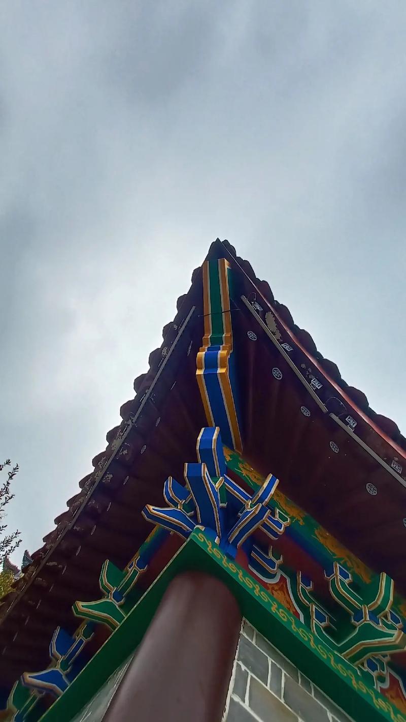 长泽雅美图片日版釜山行男主演技不输孔 长泽雅美图片日版釜山行男主演技不输孔