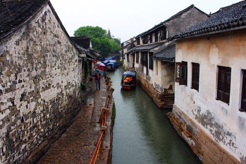 杨幂的星座运势，星座运势每日