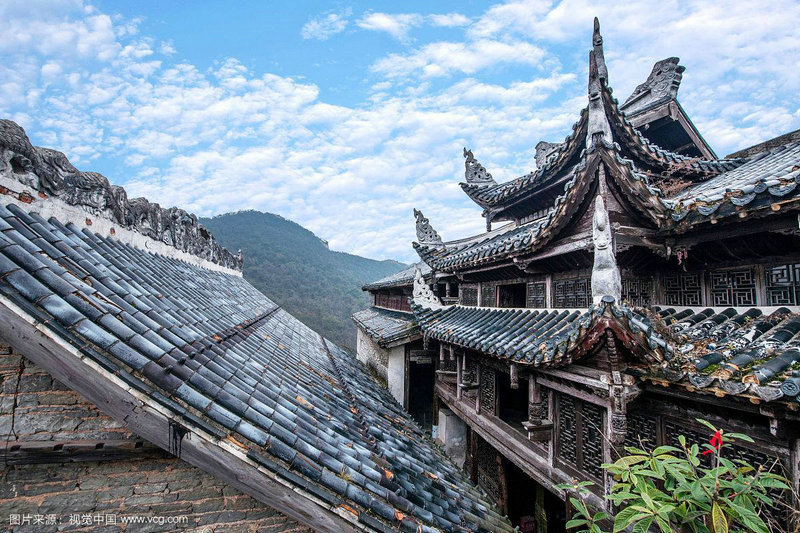 2025年属虎人的运程及每月运势讲解 2025年属虎人的运程及每月运势讲解