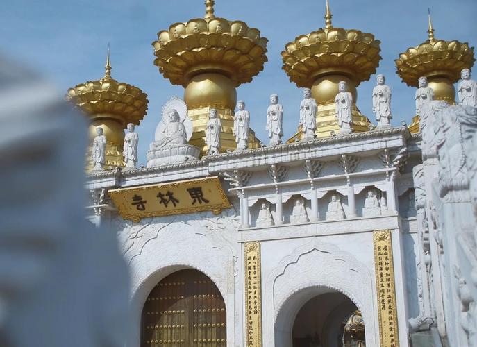 tbc猎人宝宝tbc猎人宝宝好不好你说了算 tbc猎人宝宝tbc猎人宝宝好不好你说了算