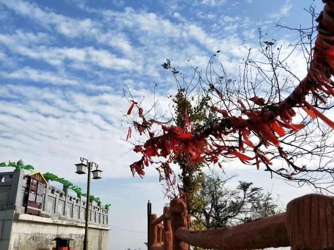 底楼和顶楼哪个风水最好 底楼和顶楼哪个风水最好