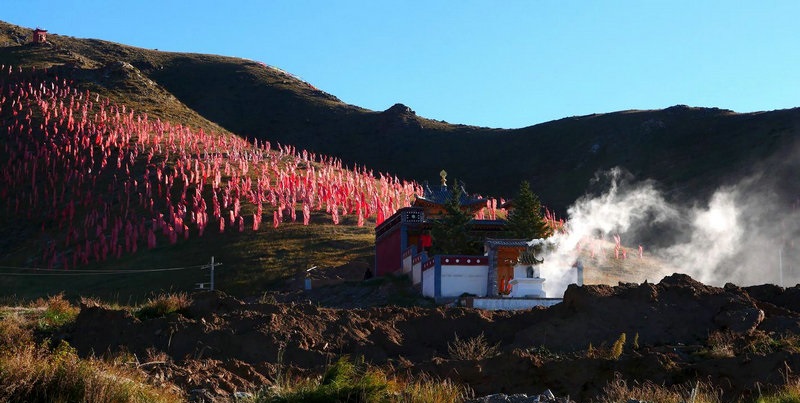 66年生肖马2025年运势 1966年属马2025年运势及运程