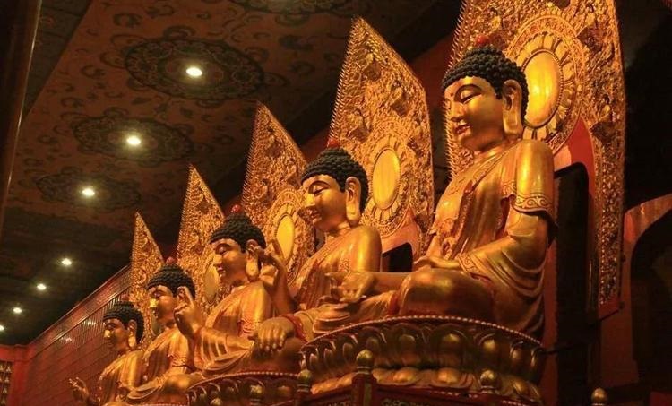 品6地址 品6地址