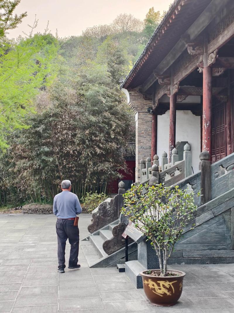 1982年8月19日农历 11月18日是什么星座的 1982年8月19日农历 11月18日是什么星座的