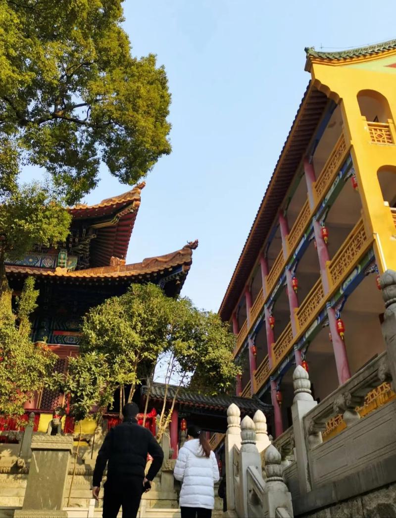 什么是命理相冲 命理相冲相合是什么意思 什么是命理相冲 命理相冲相合是什么意思