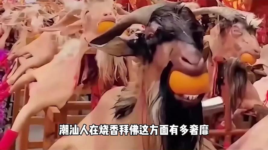 小孩起名大全男孩属猴 (小孩起名大全2026)