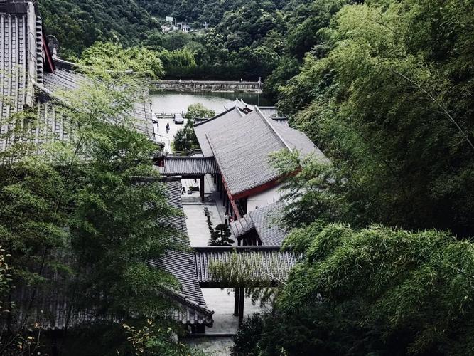 老鼠与什么生肖相冲相克 鼠年属相相冲 老鼠与什么生肖相冲相克 鼠年属相相冲