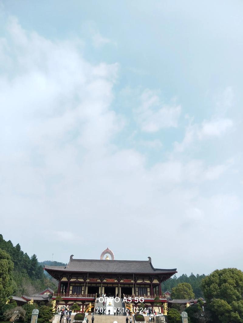 属鸡2015年运势及运程,81年属鸡2015年运程各月运 属鸡2015年运势及运程,81年属鸡2015年运程各月运