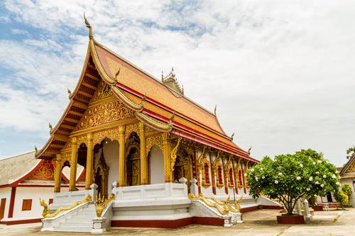 属牛人2025年6月运势