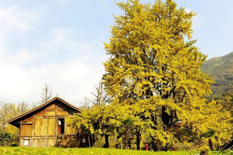 超准婚姻测试 婚姻真的能测这么准吗？