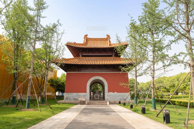 属马的2025年结婚日子