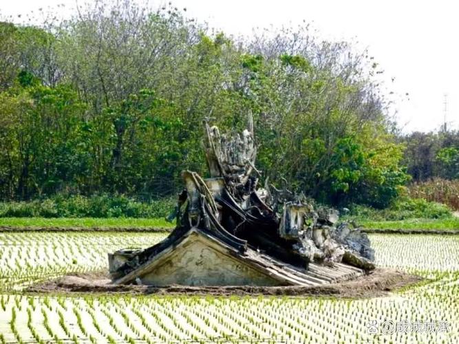 兔的死对头是什么生肖 鸡的冤家是什么生肖