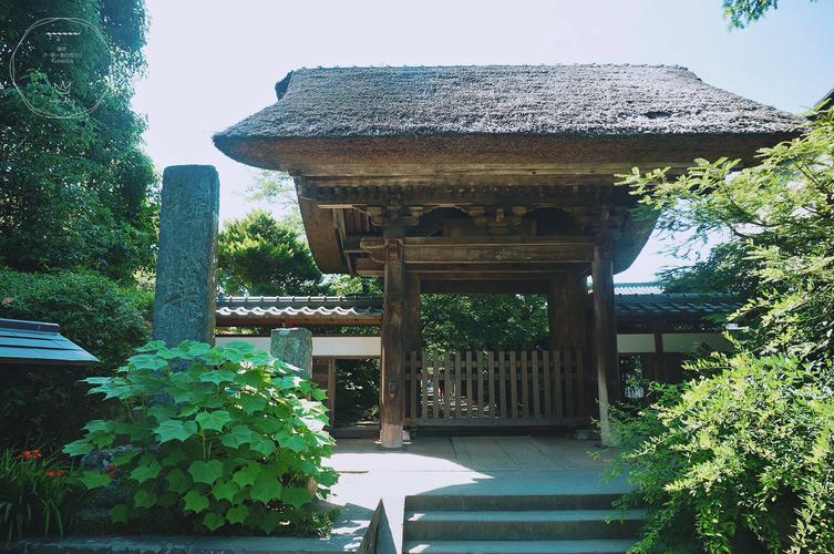 五行之色的时尚搭配：每天穿衣显活力 (五行之色是什么颜色)