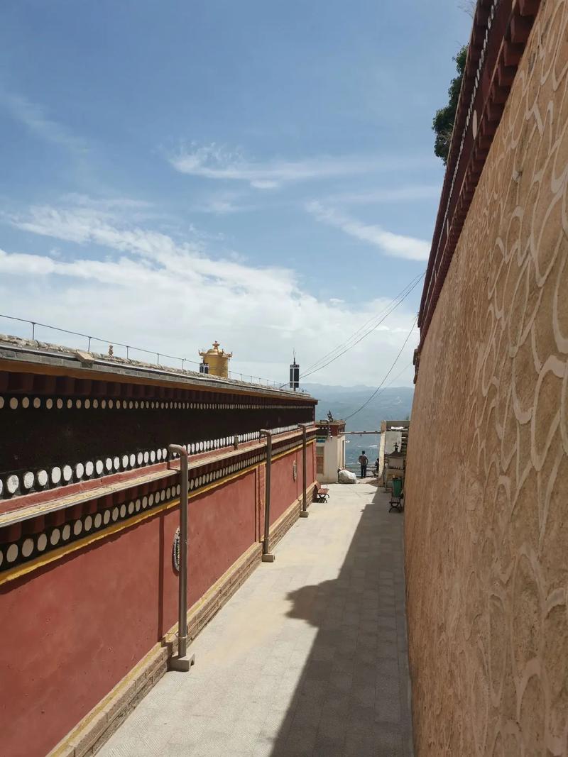 寅卯之年是哪一年 万年历中寅卯是哪年