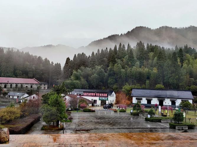 伊伊综合在线姚笛张陈伊伊这四个字的名字怎