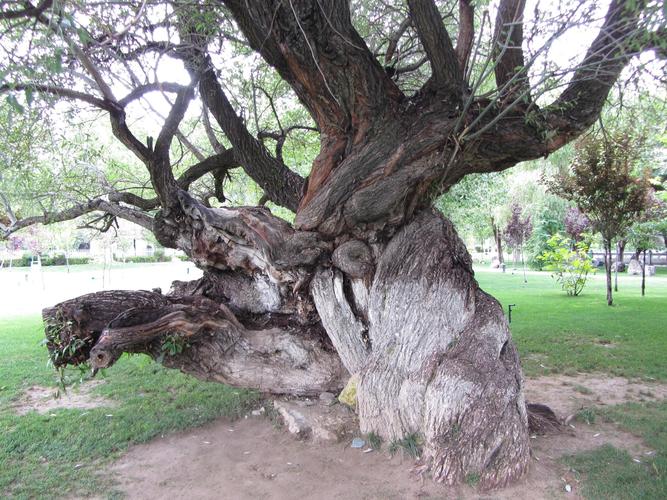 佛祖灵签第12签解_事业竞争压力如何面对(佛祖灵签第12签解_竞争压力如何应对 佛祖灵签第12签解_事业竞争压力如何面对(佛祖灵签第12签解_竞争压力如何应对