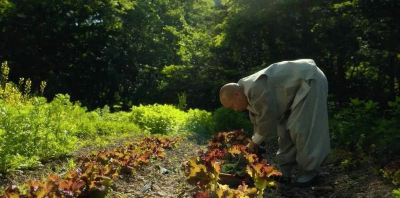 2025年3月15日农历 2025年3月15日16时37分 农历是 2025年3月15日农历 2025年3月15日16时37分 农历是