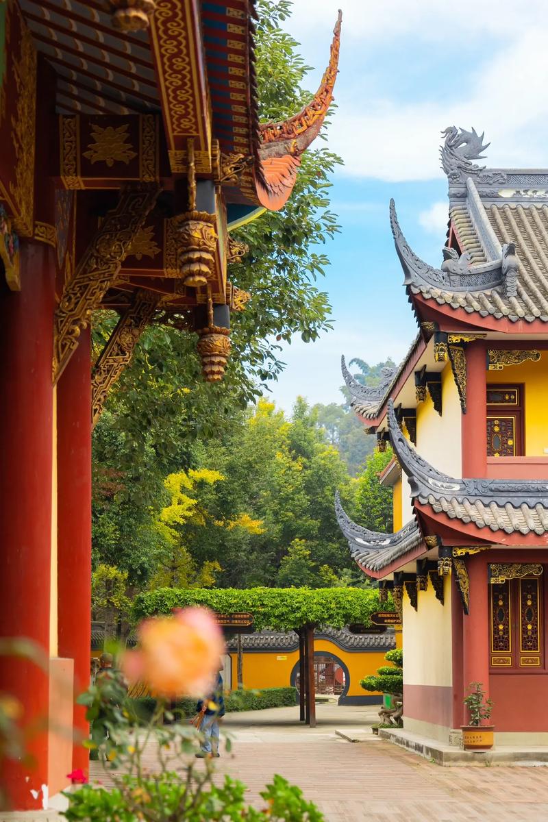 属牛的女人有什么缺点 属牛的女人有什么缺点