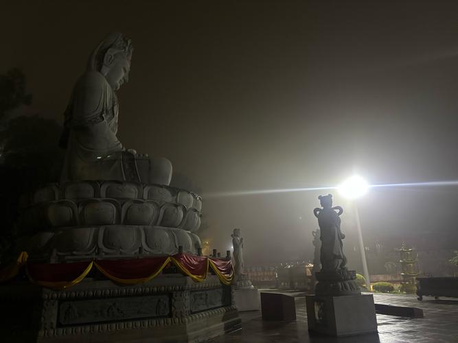 属猪明天的运势 属猪人明日运势