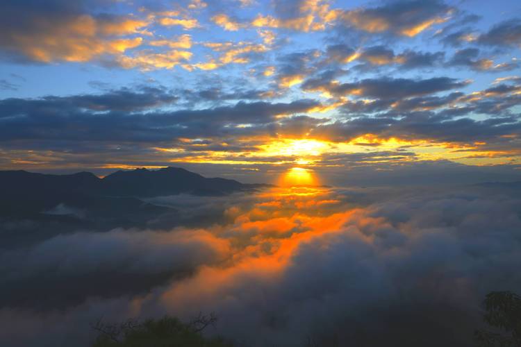 每日星座运势今日财运 每日运势查询明天 每日星座运势今日财运 每日运势查询明天