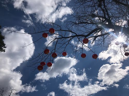 月上食神叫天厨 天厨星入十二宫详解