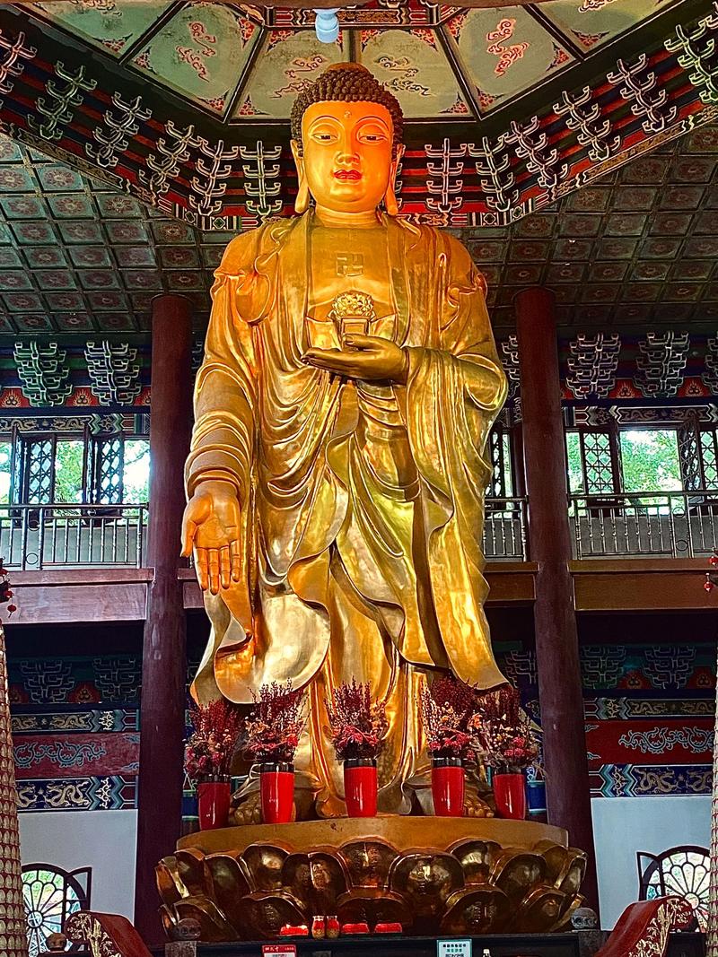 八字的金木水火土代表什么 八字的金木水火土代表什么