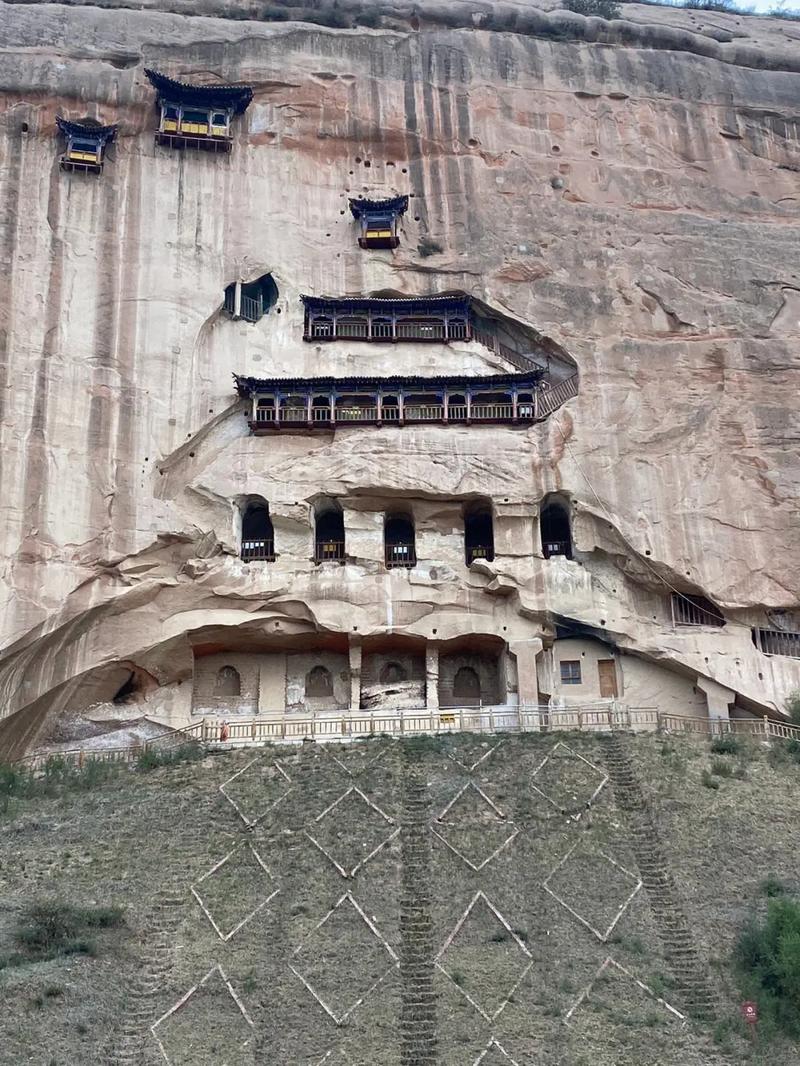 午马是哪一年出生的 生肖午马是火命吗 午马是哪一年出生的 生肖午马是火命吗