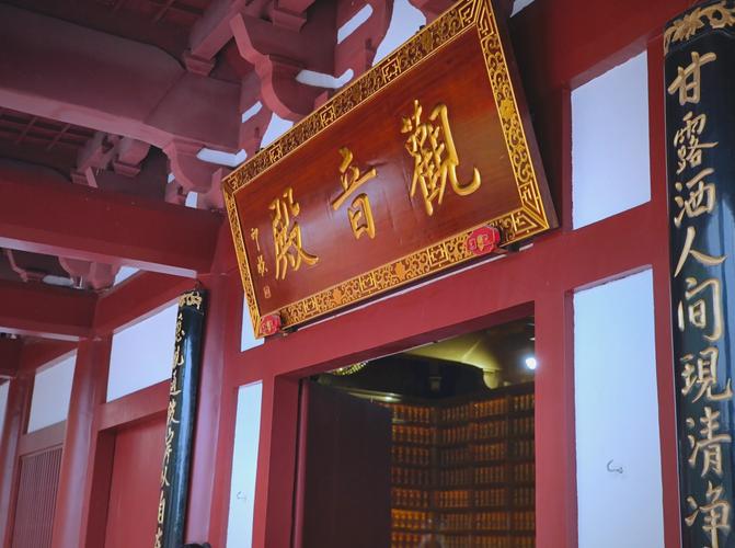 橡皮树能放在财位吗,橡皮树的风水作用是啥 橡皮树能放在财位吗,橡皮树的风水作用是啥