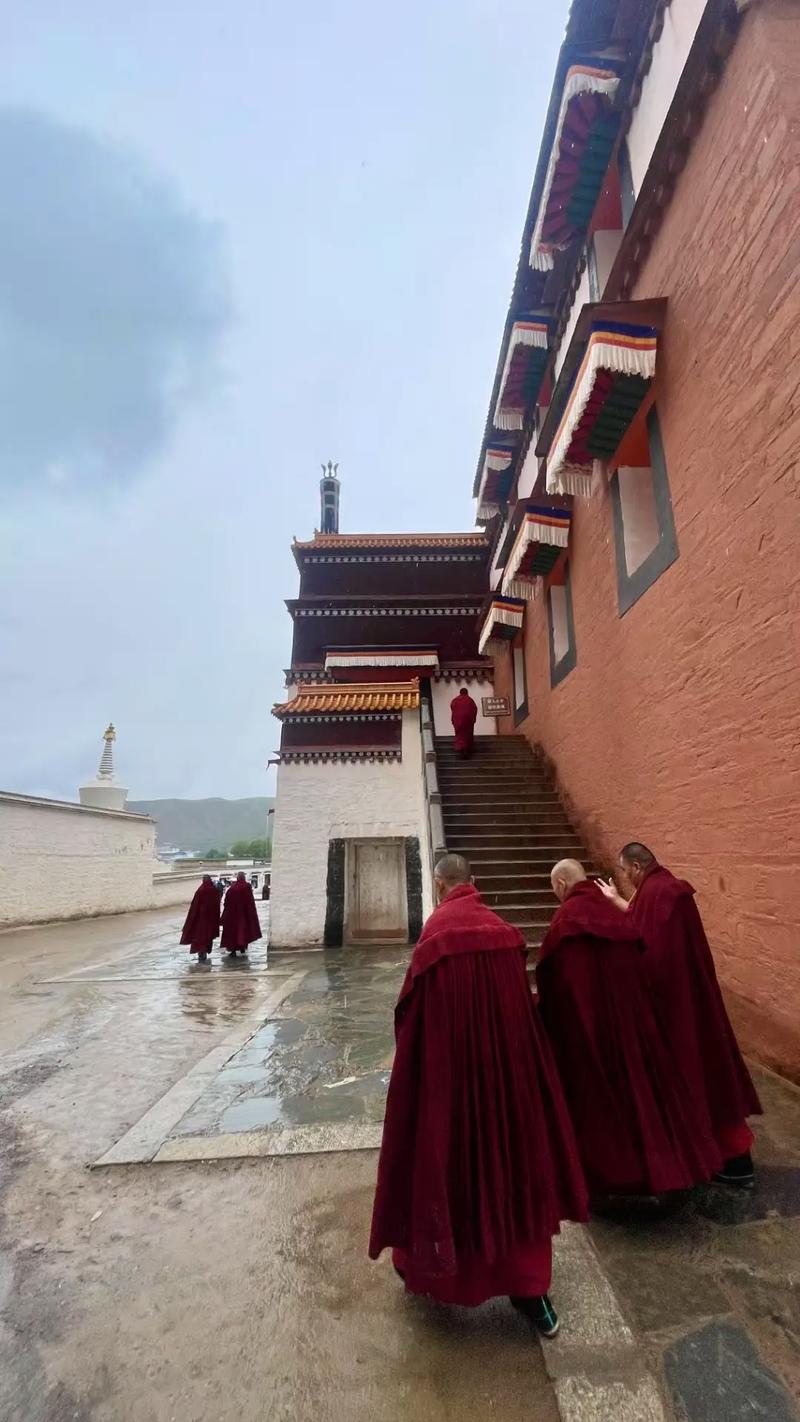 属牛的人婚配表，属牛和什么属相最相配 详细