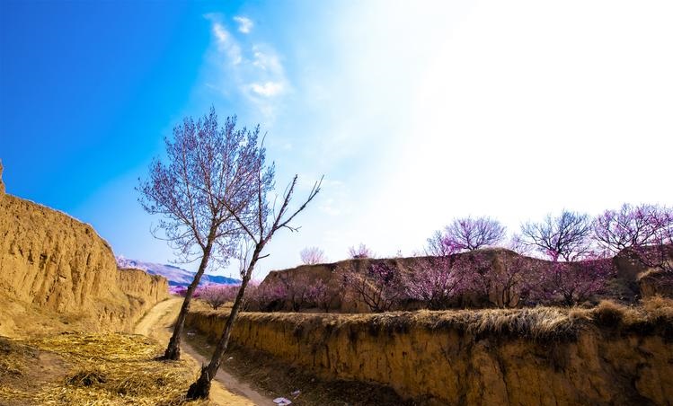 今天考试运势查询 考试运势免费测试查询 今天考试运势查询 考试运势免费测试查询