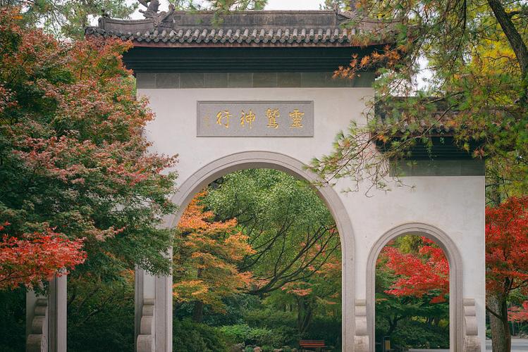 新潮的女婴儿名字大全