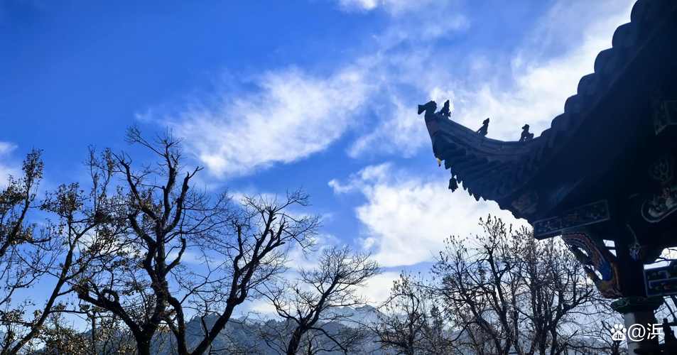 geo老师一周星座运势 ge0老师一周星座运势(201