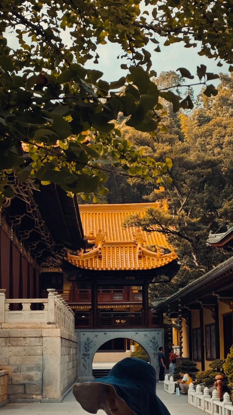 2025年下半年属兔的人运程运势